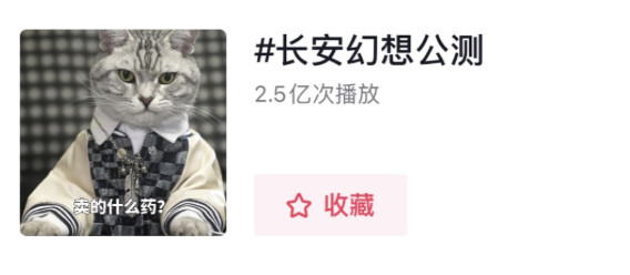 图片9.jpg