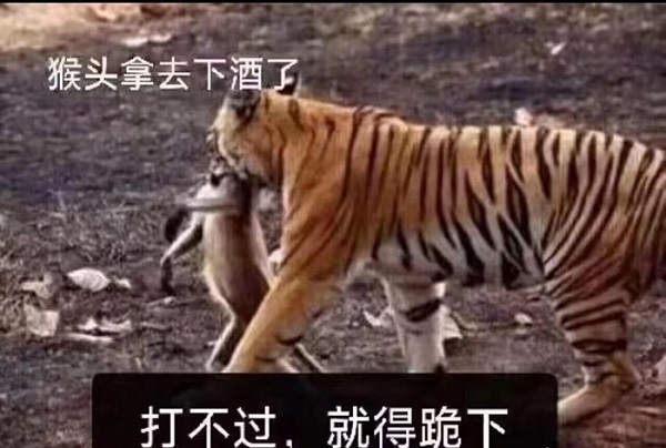微信图片_20230821190351.jpg