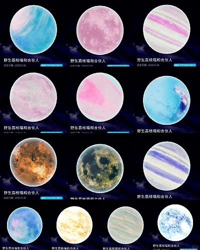 图片18.jpg