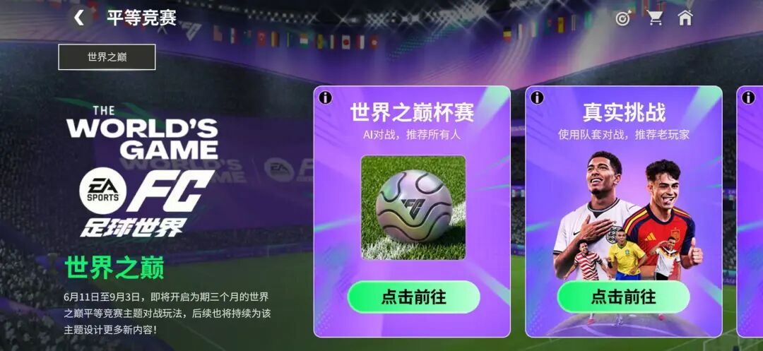 1784601015300461.jpg 图片4.jpg