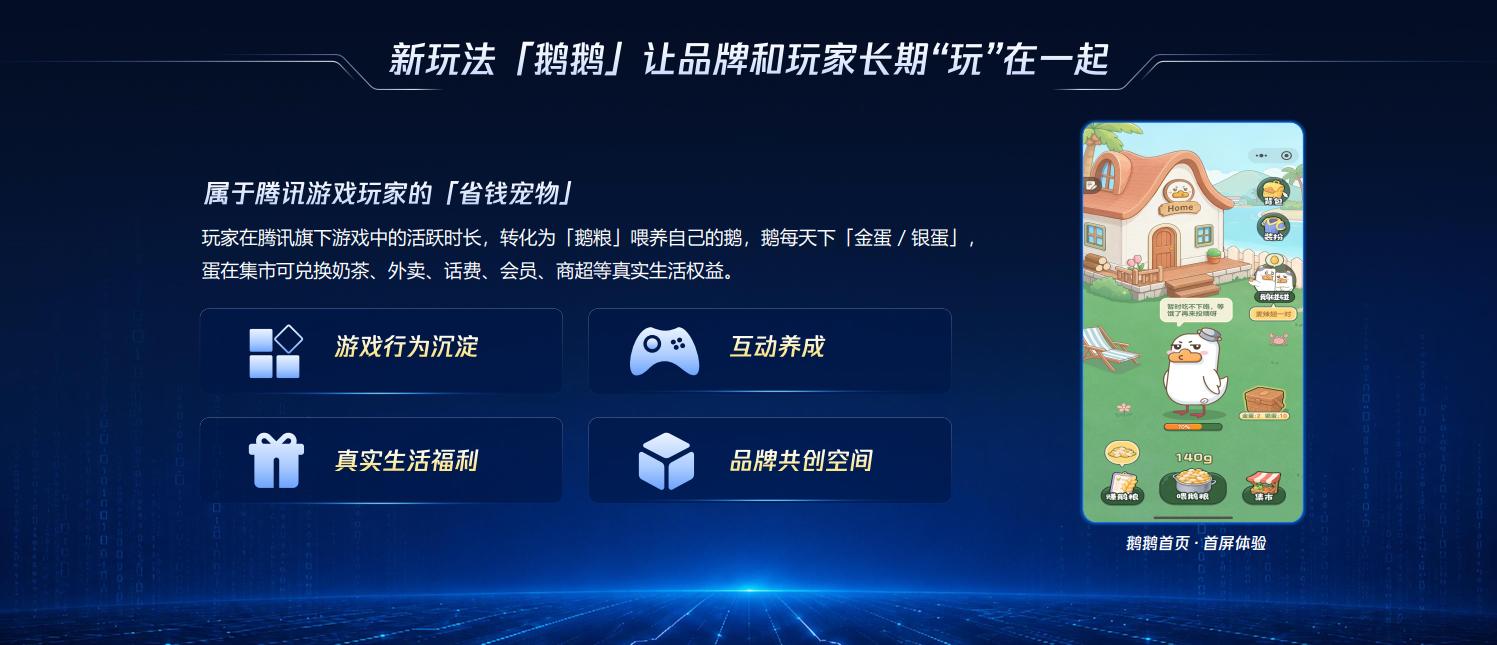 图片15.jpg