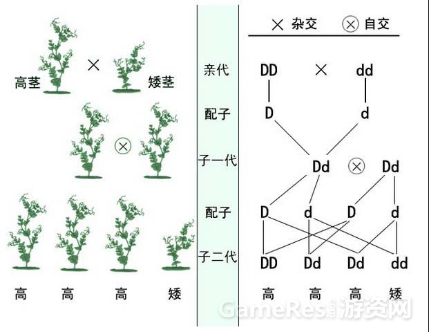 游戏的概率计算研究——期望