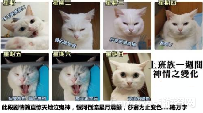 游戏的世界：世界观架构