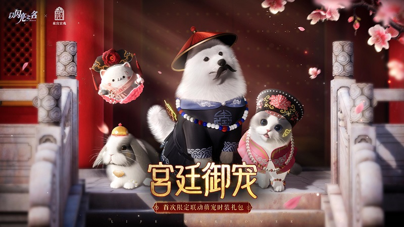 图片17.jpg
